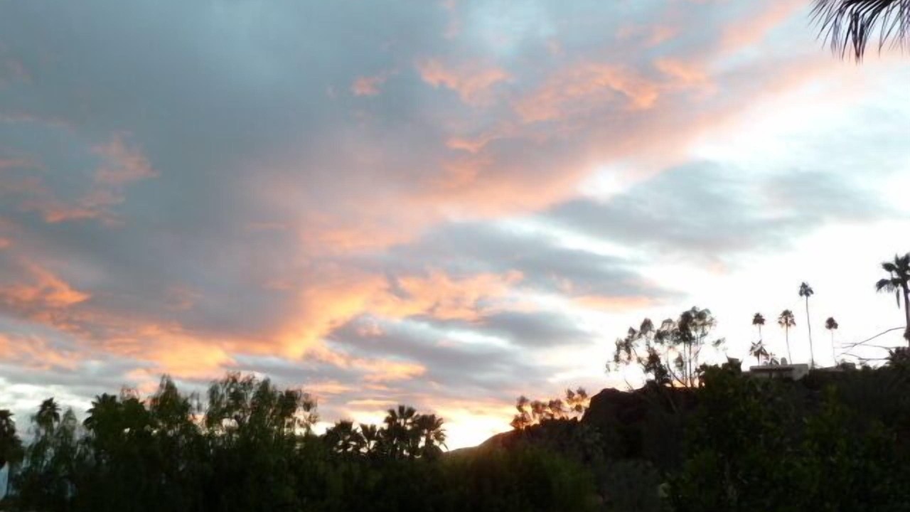 Photo of Others in Palm Springs
