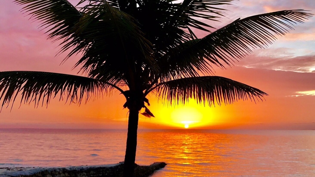 Photo of Others in Treasure Cay