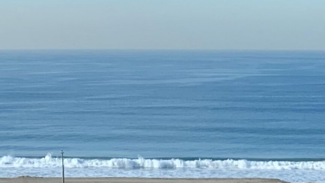 Photo of Others in Playa Del Rey