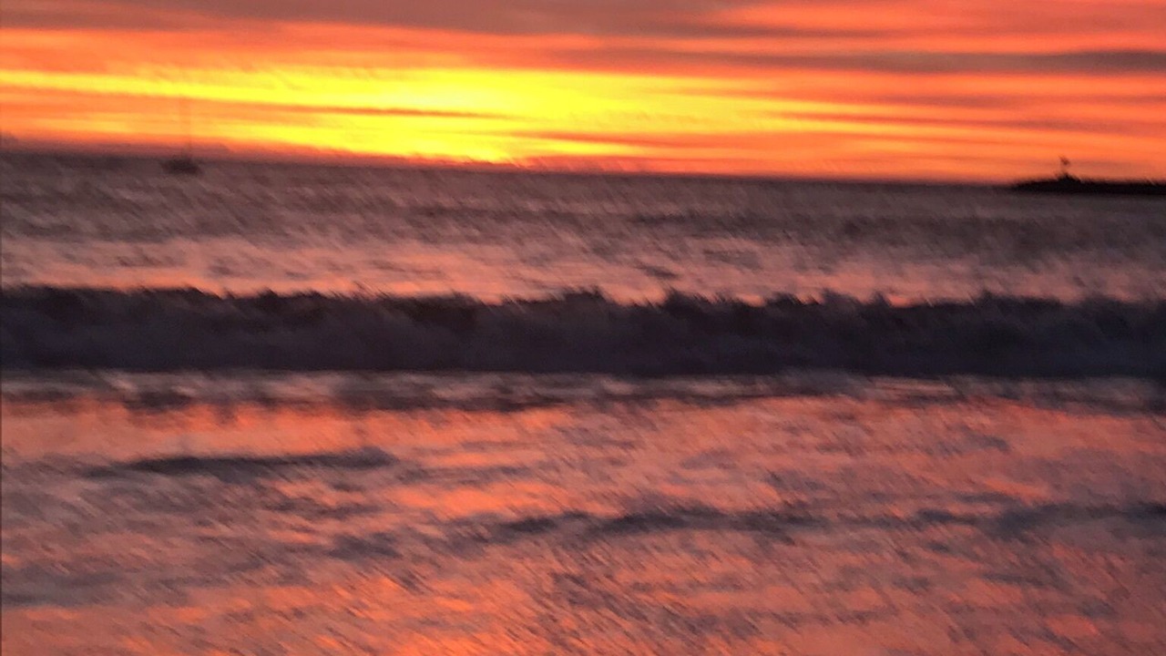 Photo of Others in Playa Del Rey