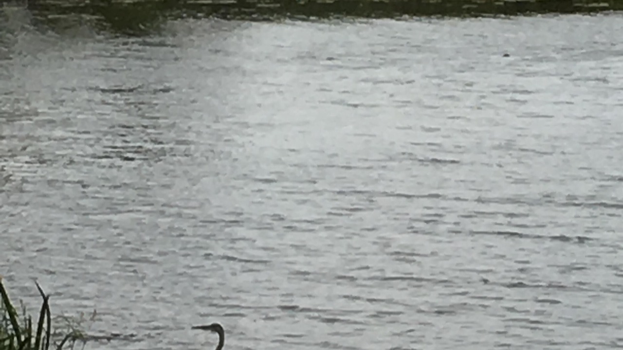 Photo of Others in Brewerton