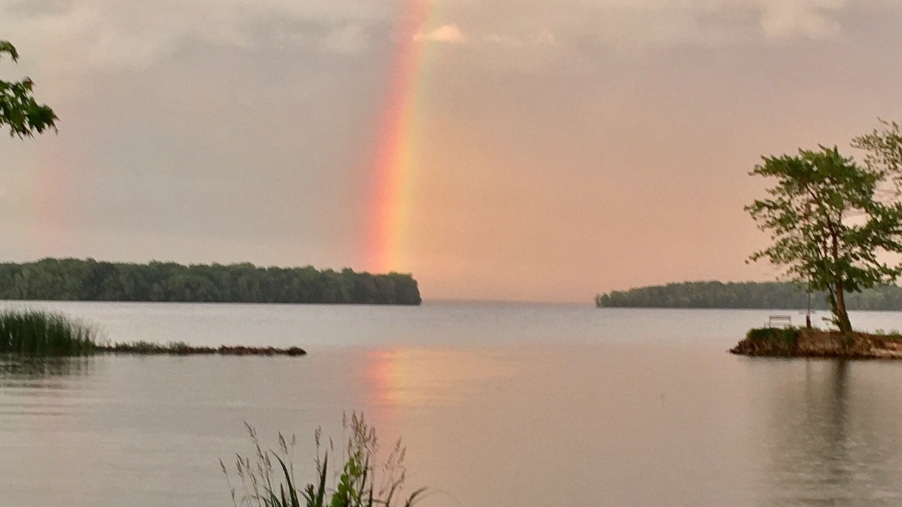 Photo of Others in Brewerton