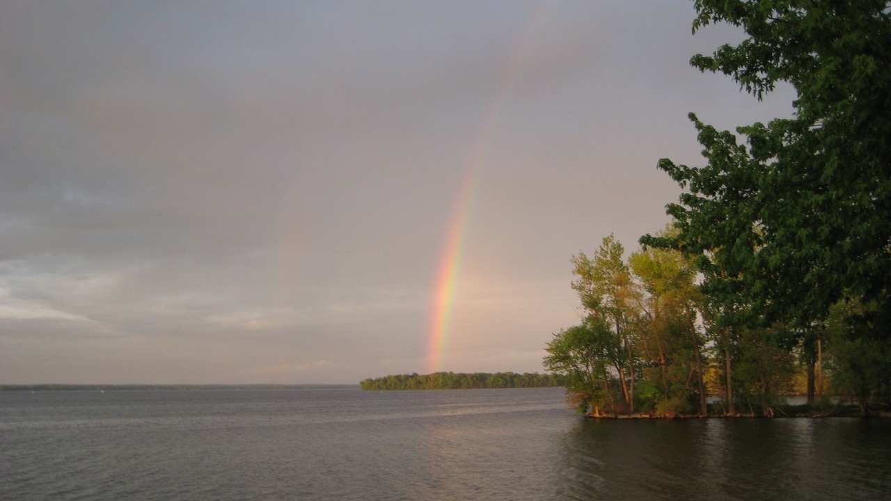 Photo of Others in Brewerton