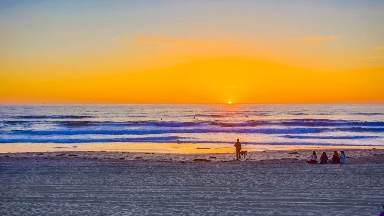Photo of Others in Mission Beach