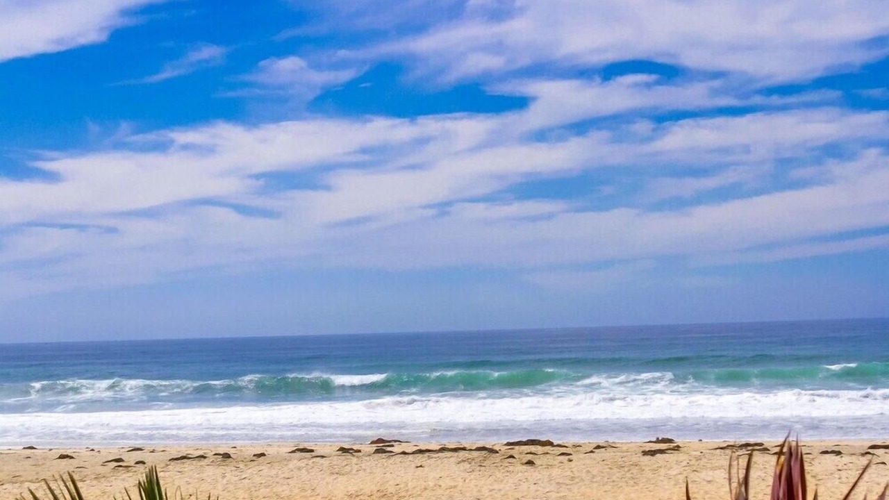 Photo of Others in Mission Beach