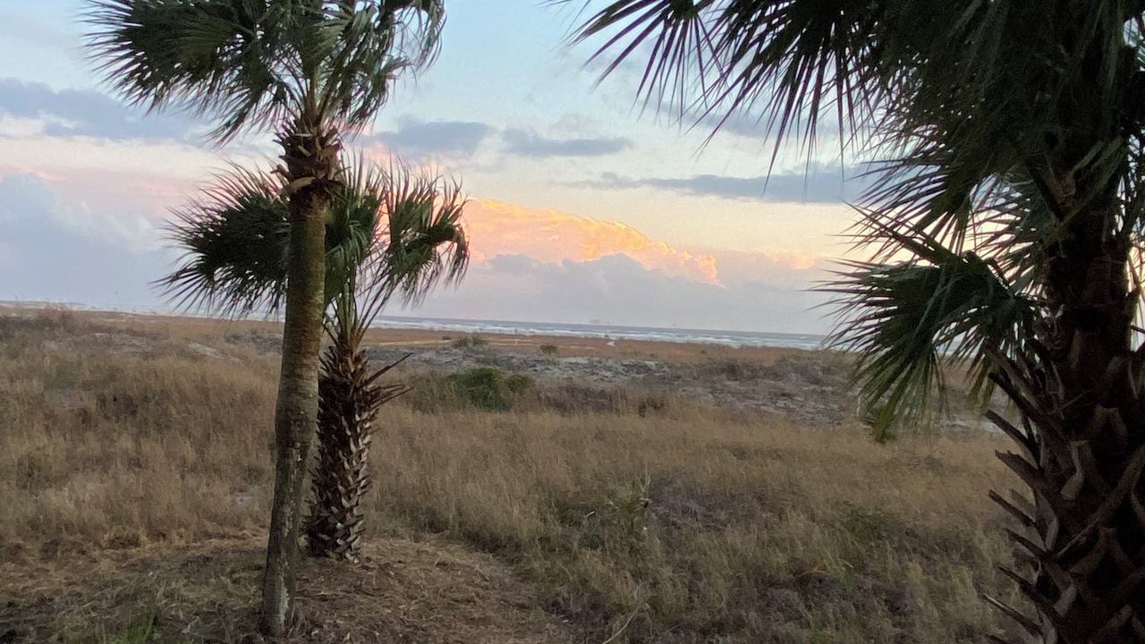 Photo of Others in Dauphin Island
