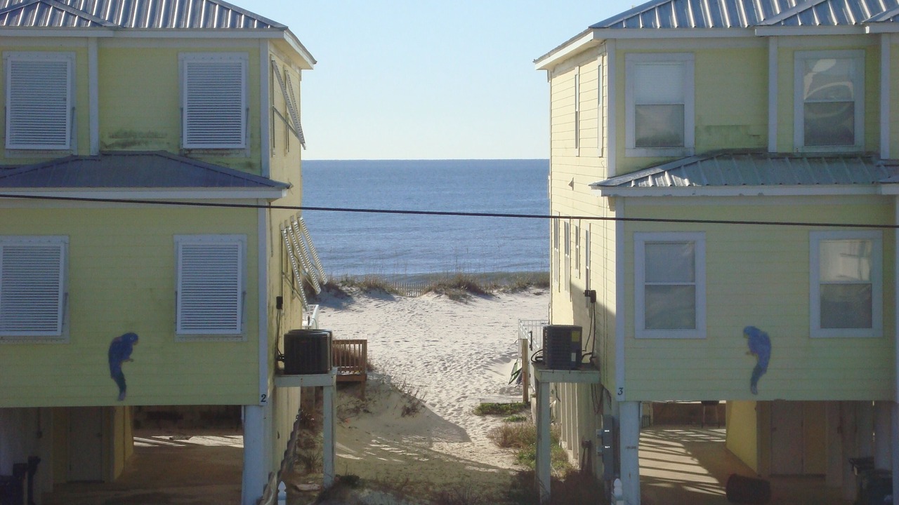 Photo of Others in Gulf Shores