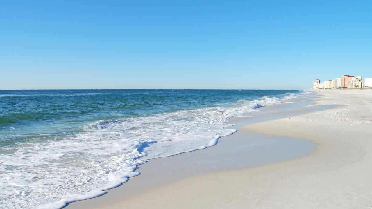 Photo of Others in Gulf Shores
