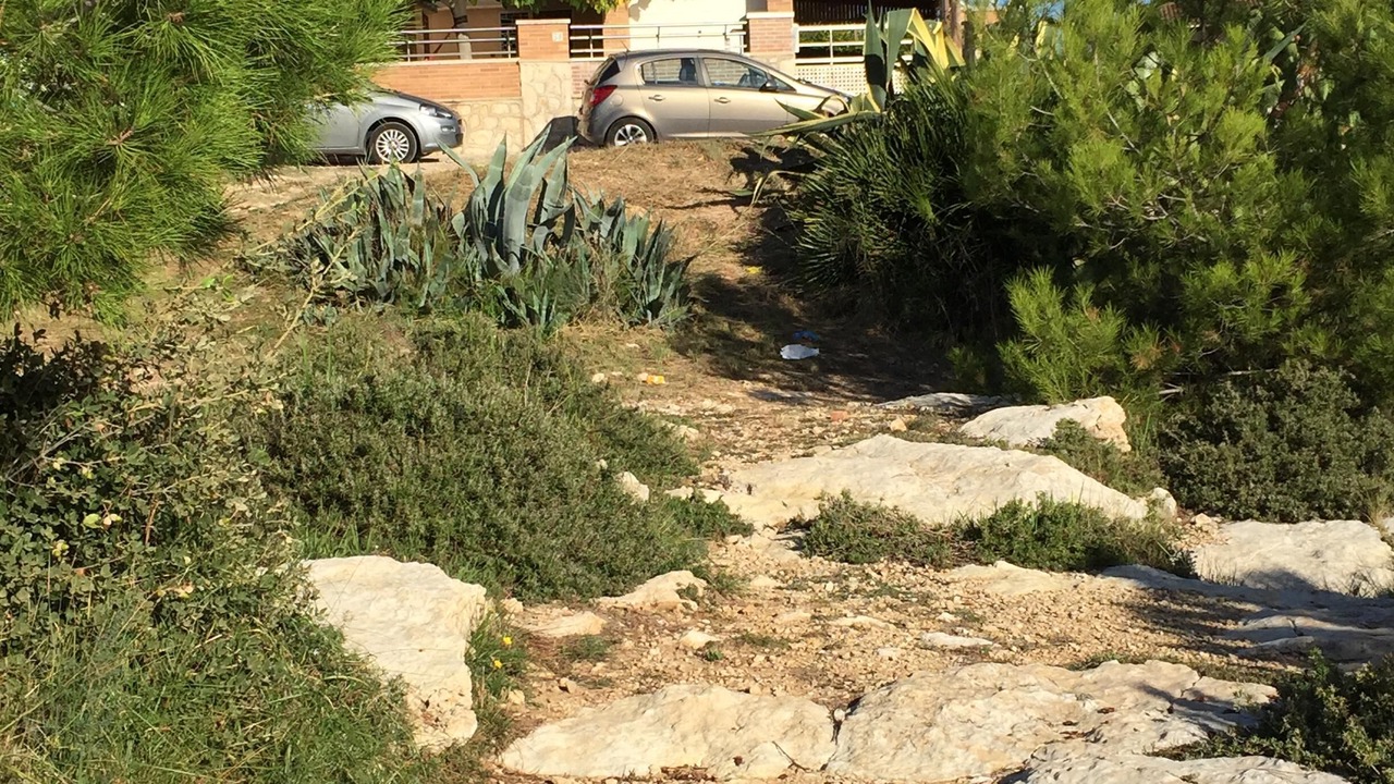 Photo of Outdoor in Torredembarra
