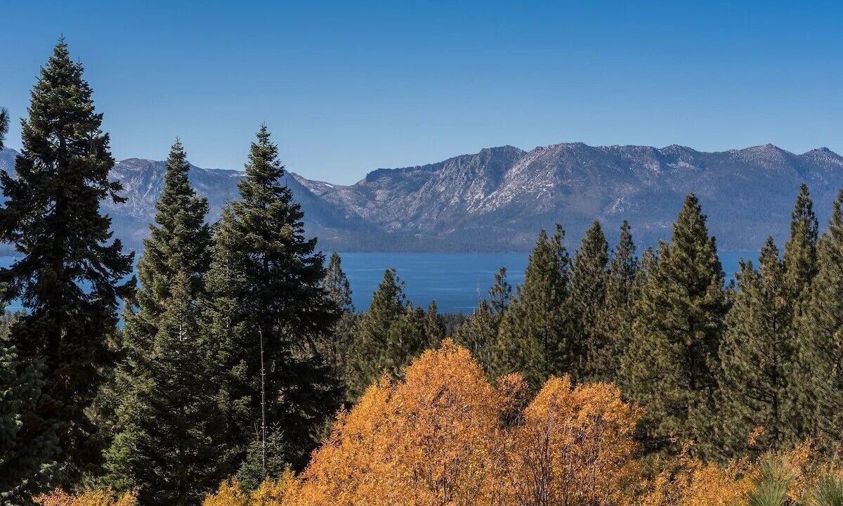 Photo of Others in Tahoe Village