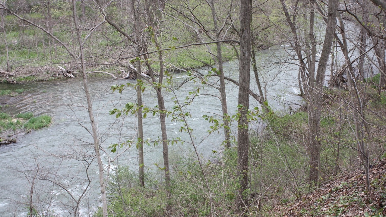 Photo of Outdoor in Penn Yan
