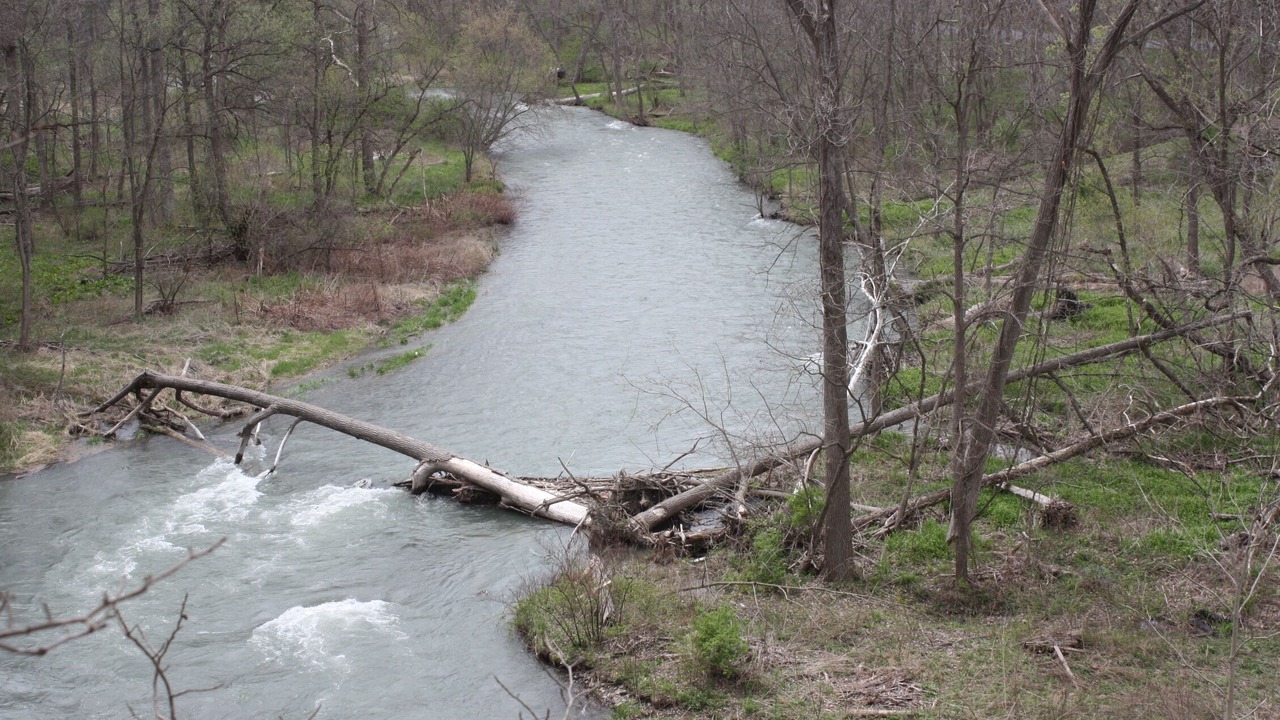 Photo of Outdoor in Penn Yan