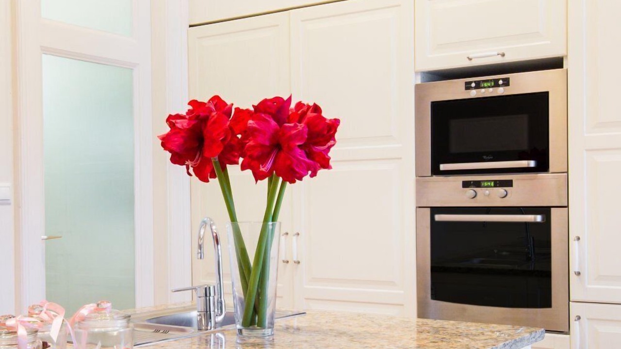 Photo of Kitchen in Belvaros - Lipotvaros