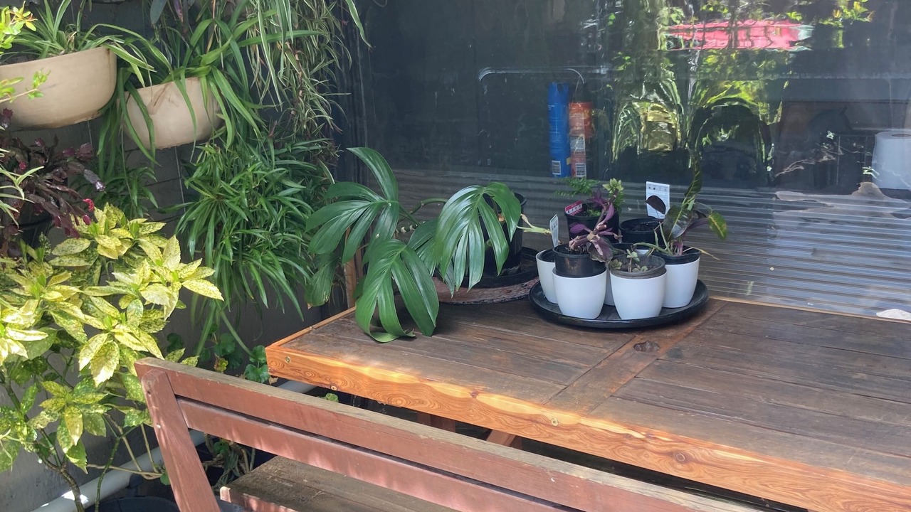 Photo of Outdoor in Queanbeyan West
