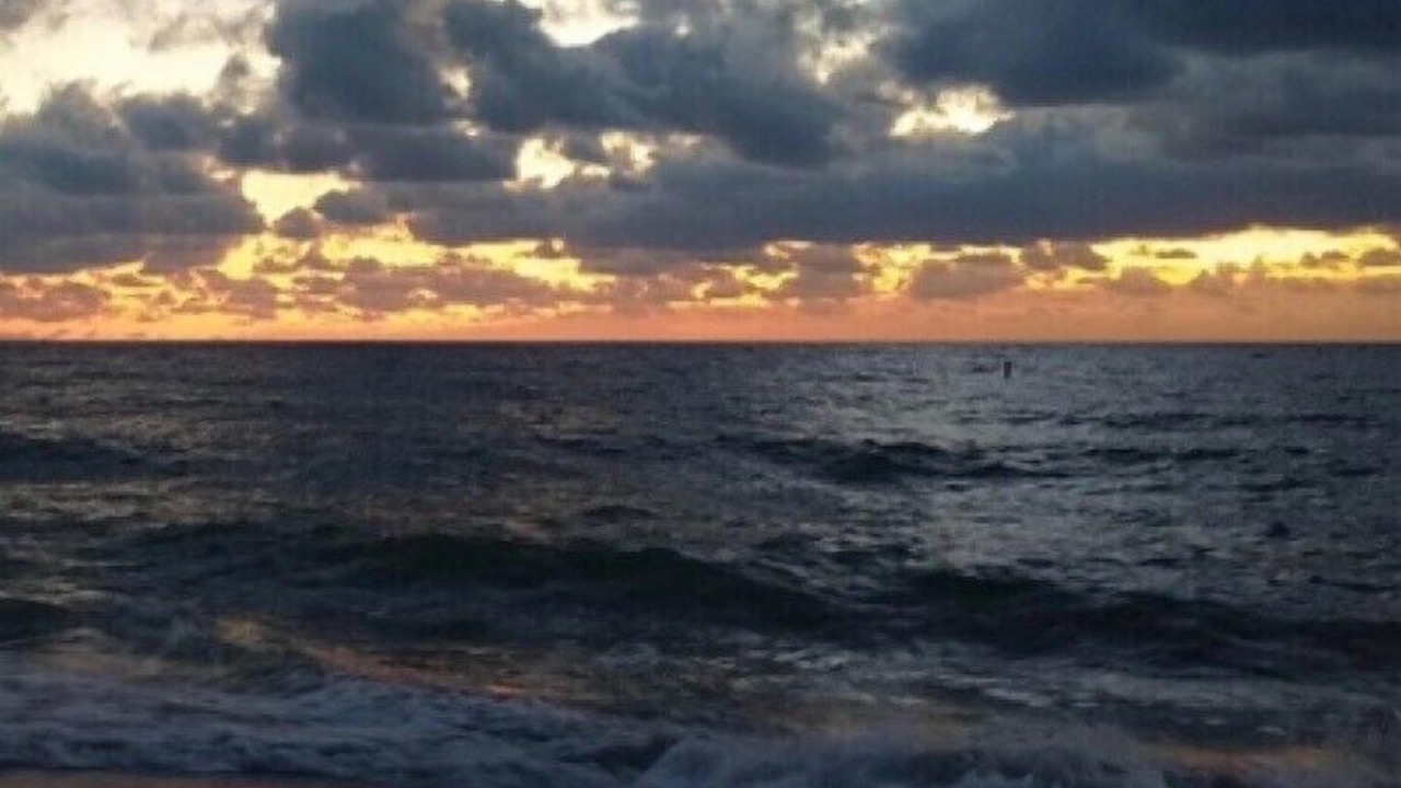 Photo of Others in Pompano Beach