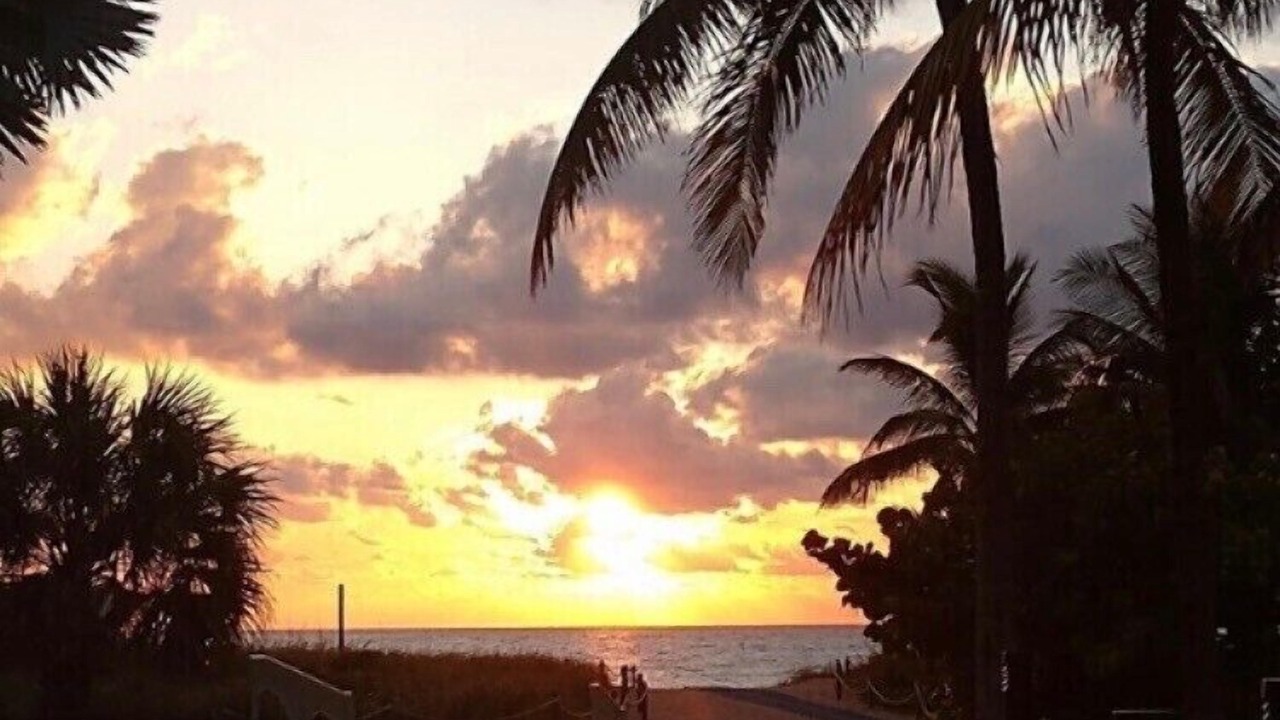Photo of Others in Pompano Beach