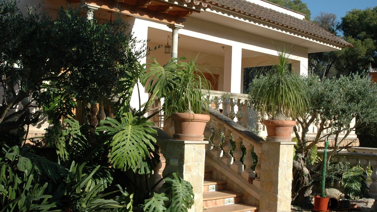 Photo of Outdoor in El Arenal