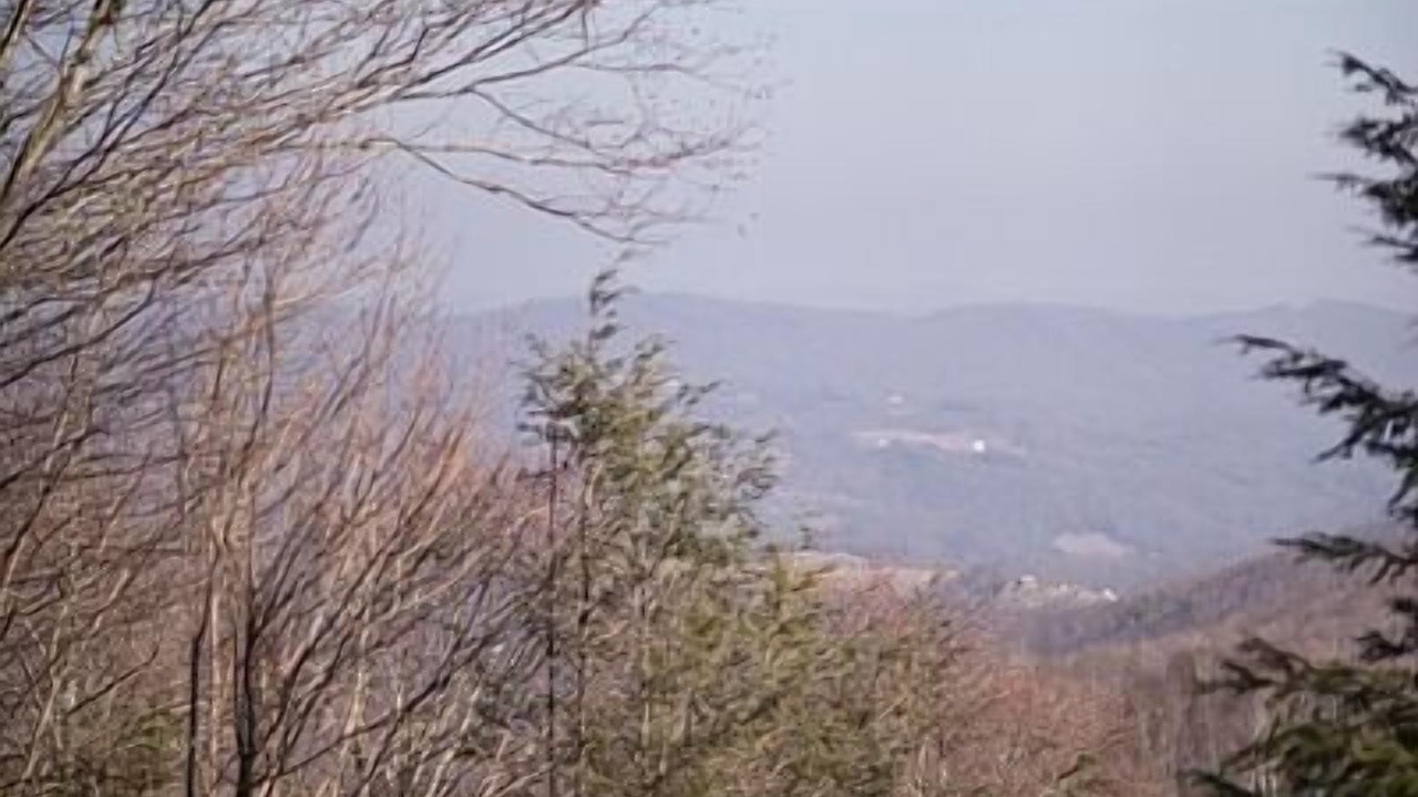Photo of Others in Charter Hills