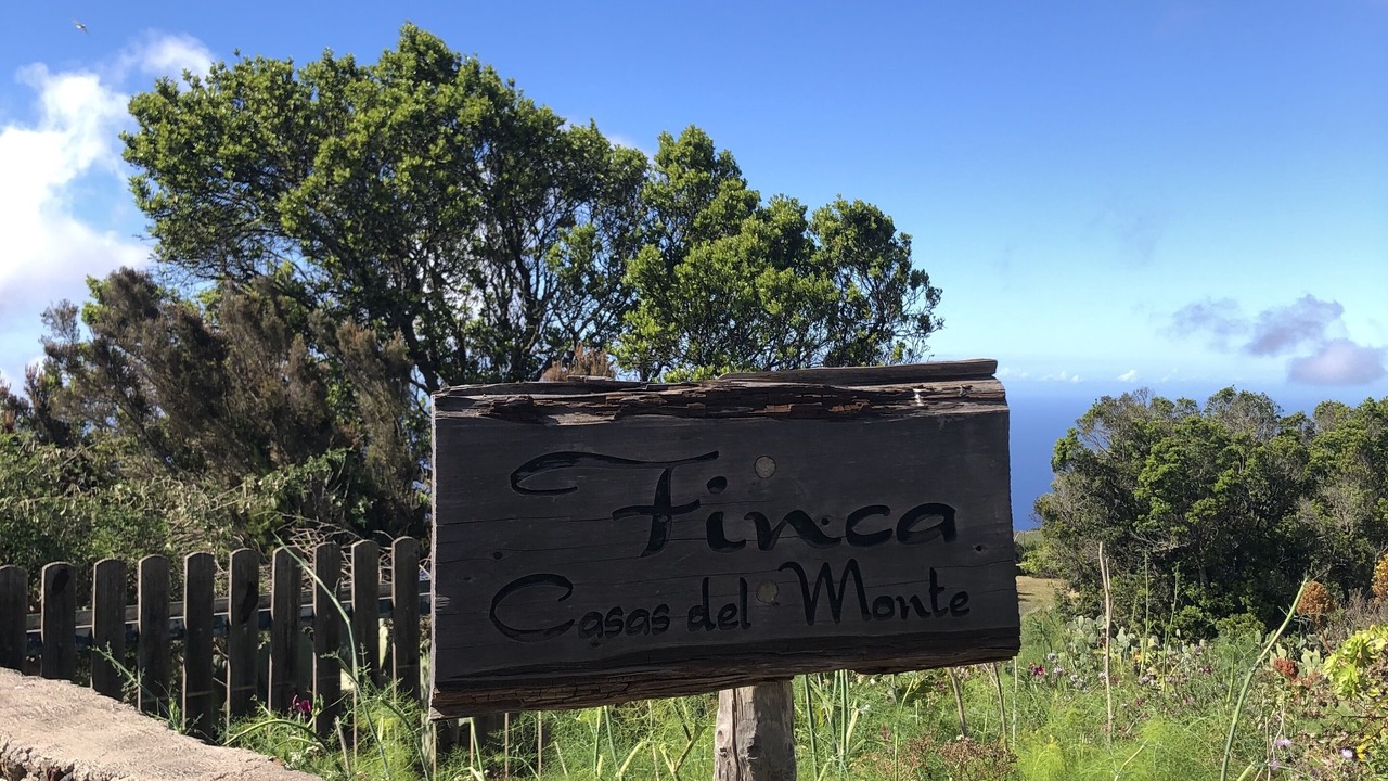 Photo of Outdoor in Valverde