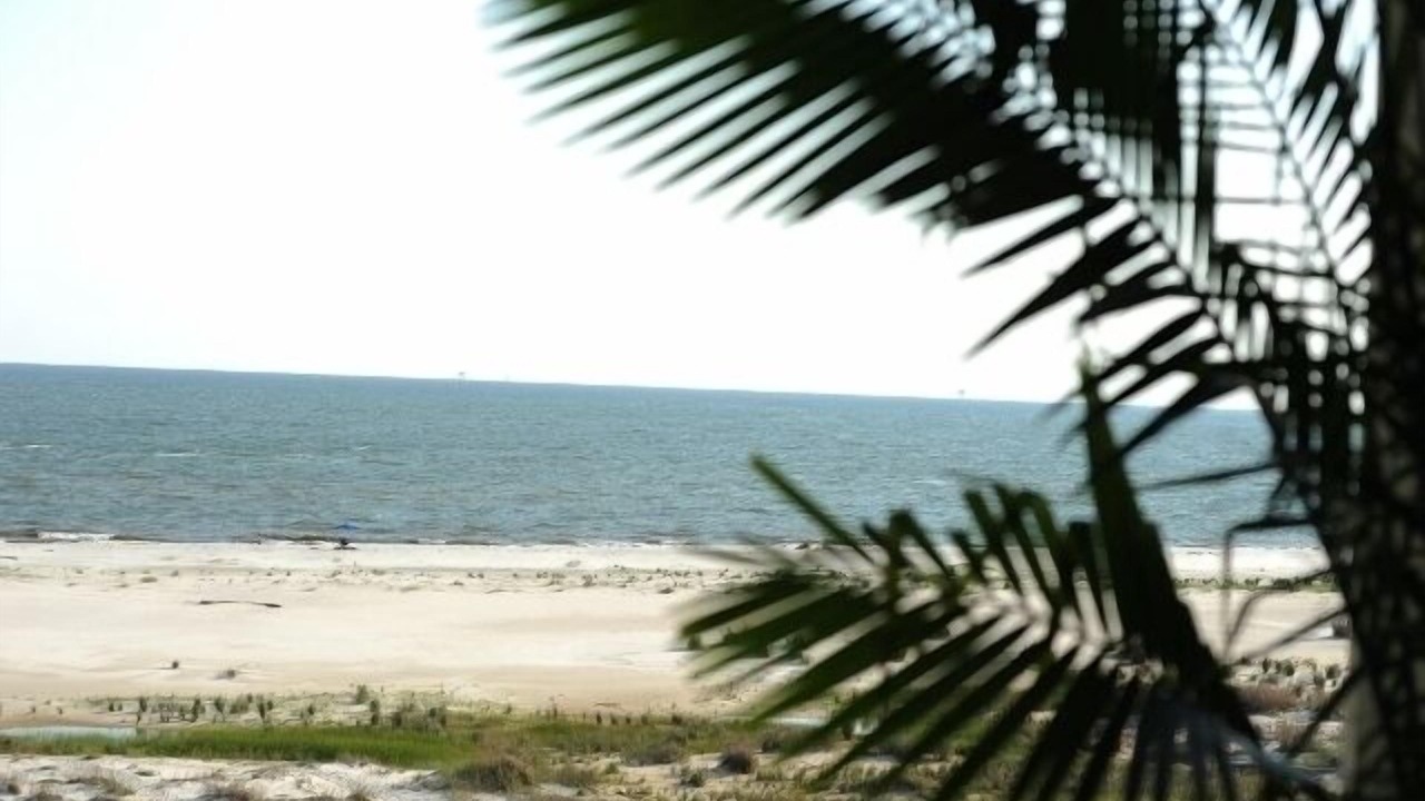 Photo of Others in Dauphin Island