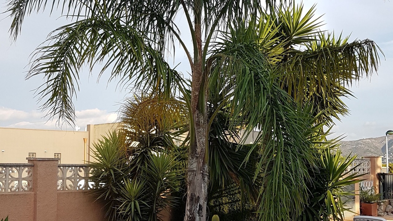 Photo of Outdoor in Beniarbeig