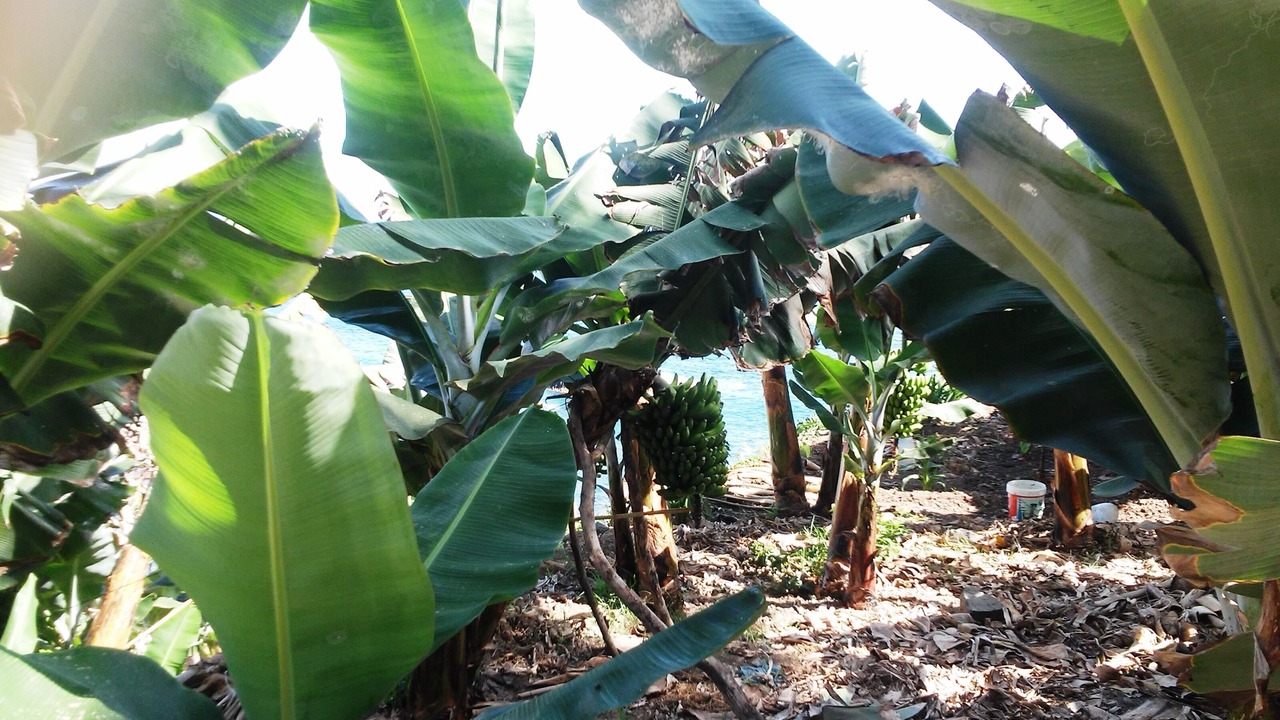 Photo of Outdoor in Las Aguas