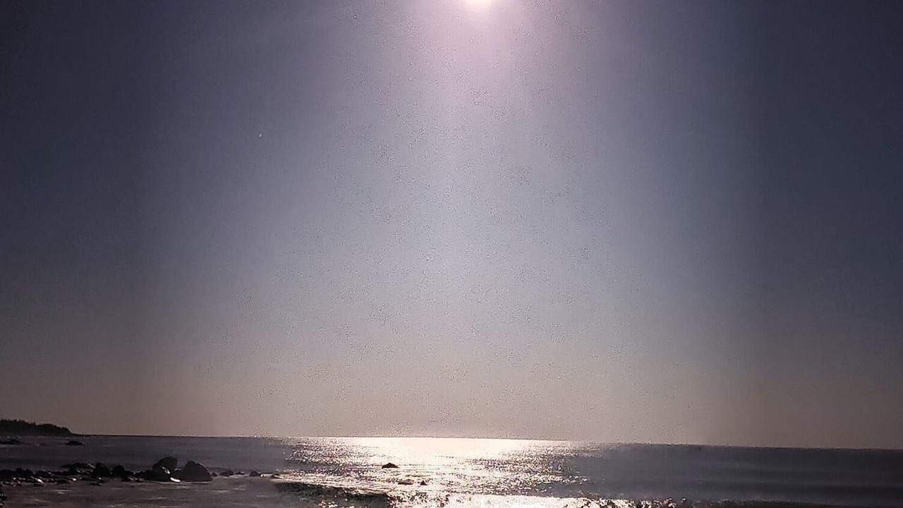 Photo of Others in Mijas