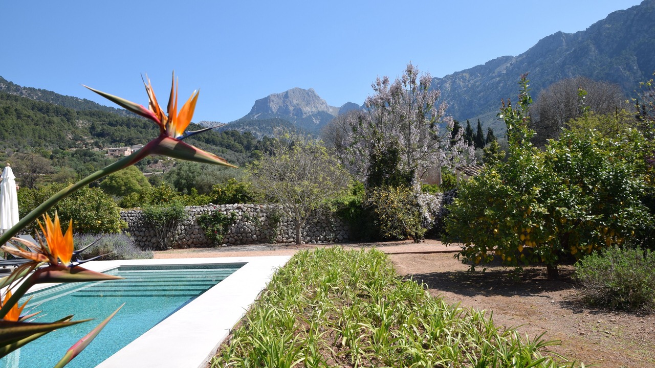 Photo of Outdoor in Soller