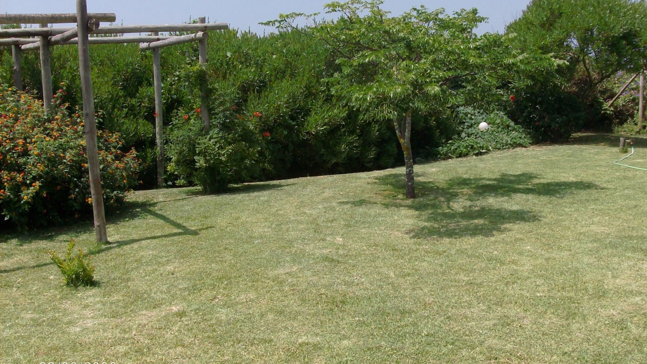 Photo of Outdoor in Quiaios