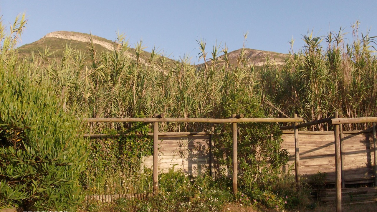 Photo of Outdoor in Quiaios