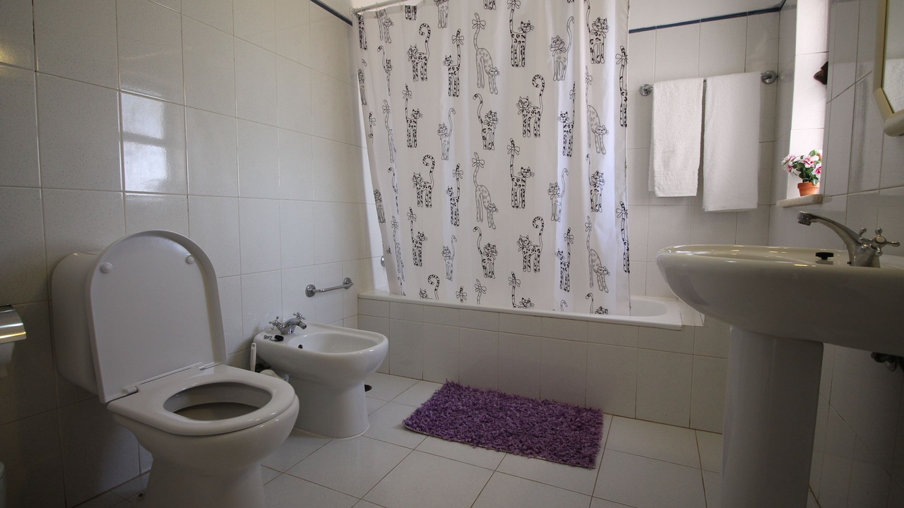 Photo of Bathroom in Lagoa e Carvoeiro