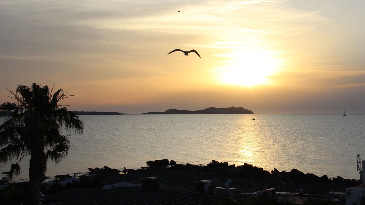 Photo of Others in San Antonio Bay