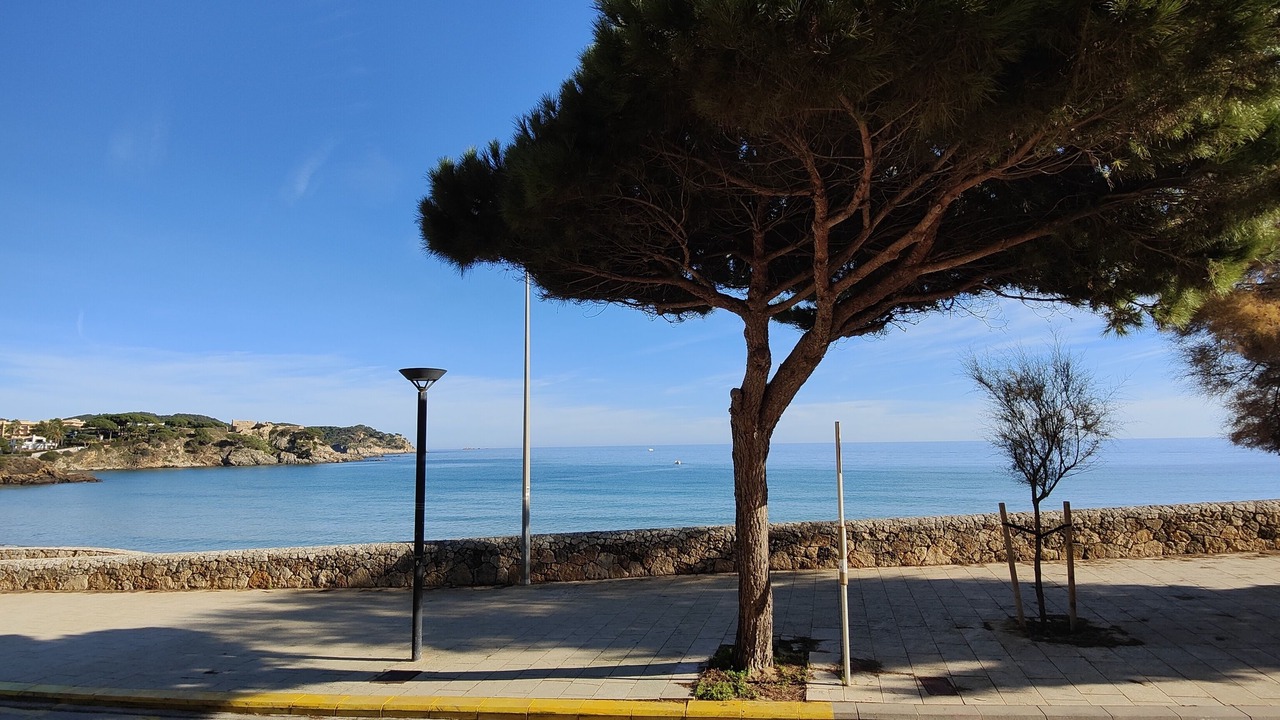 Photo of Outdoor in La Fosca