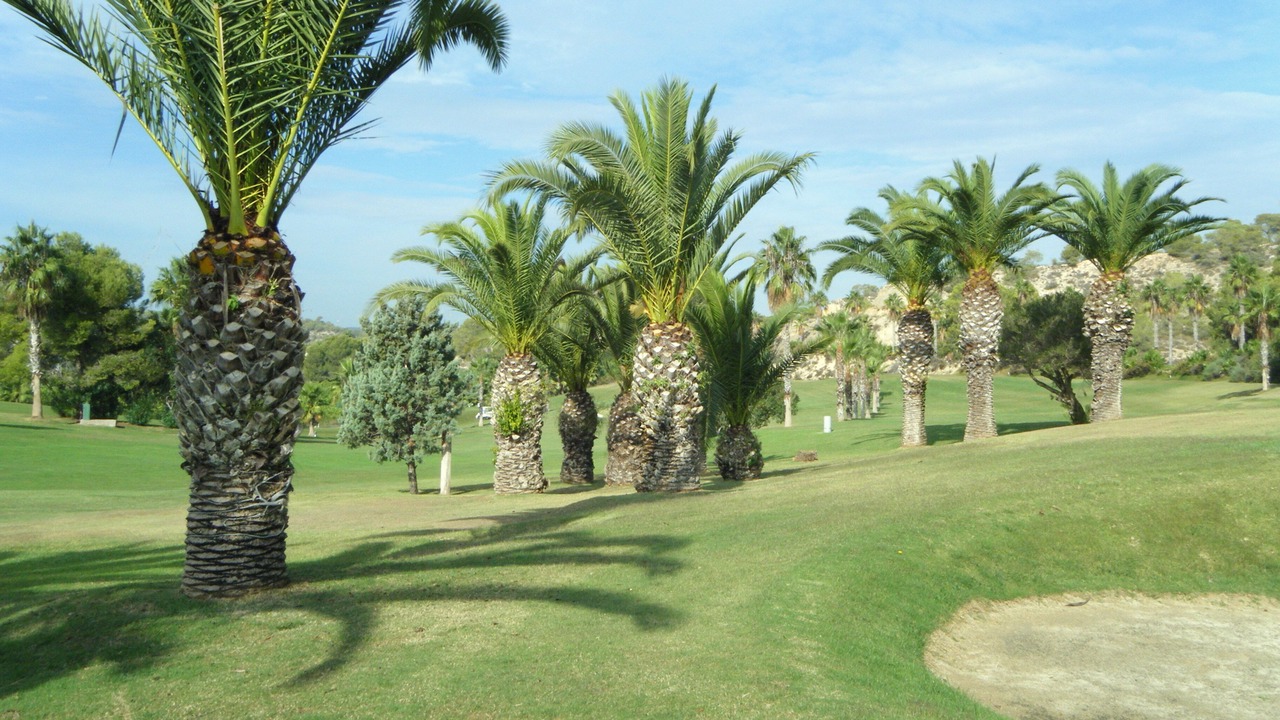 Photo of Others in San Miguel de Salinas