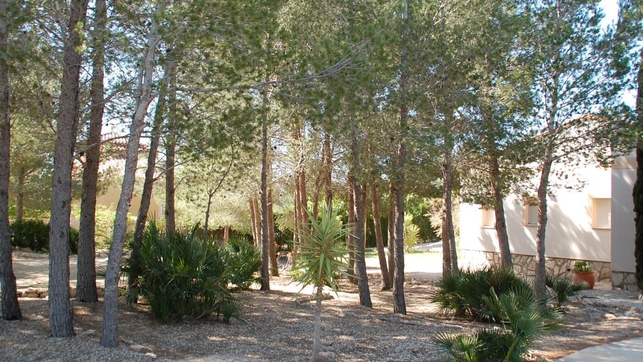 Photo of Outdoor in L'Ametlla de Mar