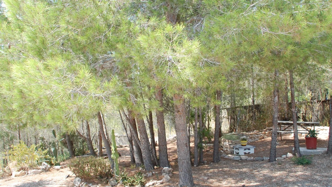 Photo of Outdoor in L'Ametlla de Mar