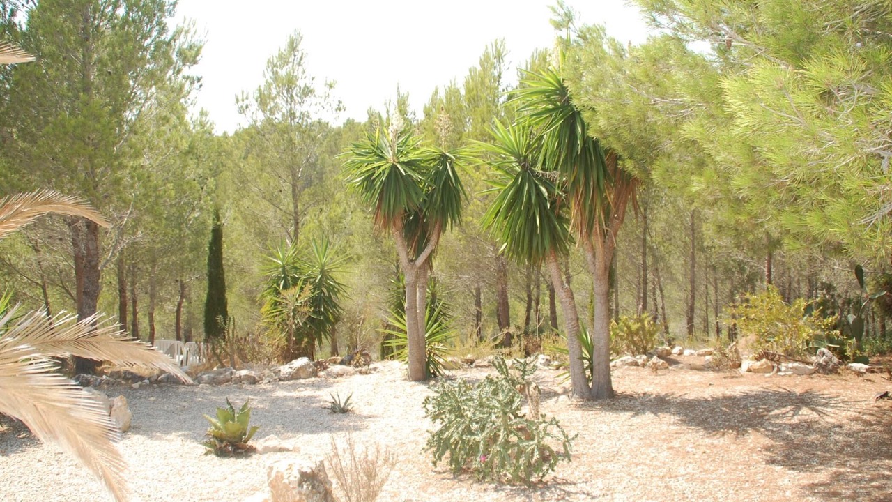 Photo of Outdoor in L'Ametlla de Mar