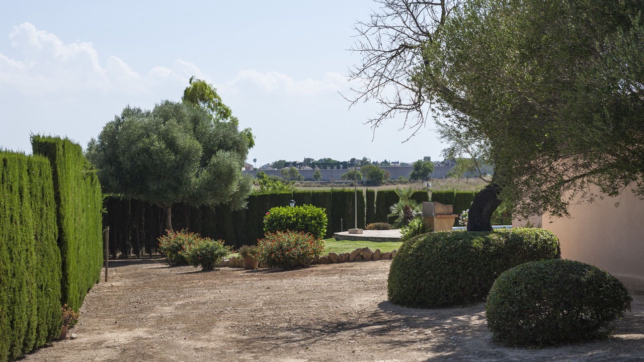 Photo of Outdoor in Santa Margalida