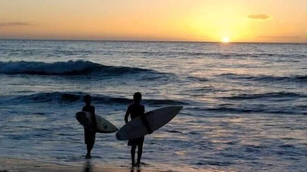 Photo of Others in West Newport