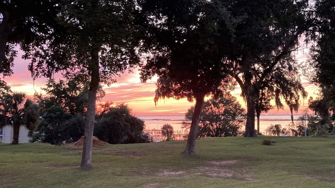Photo of Others in Daphne