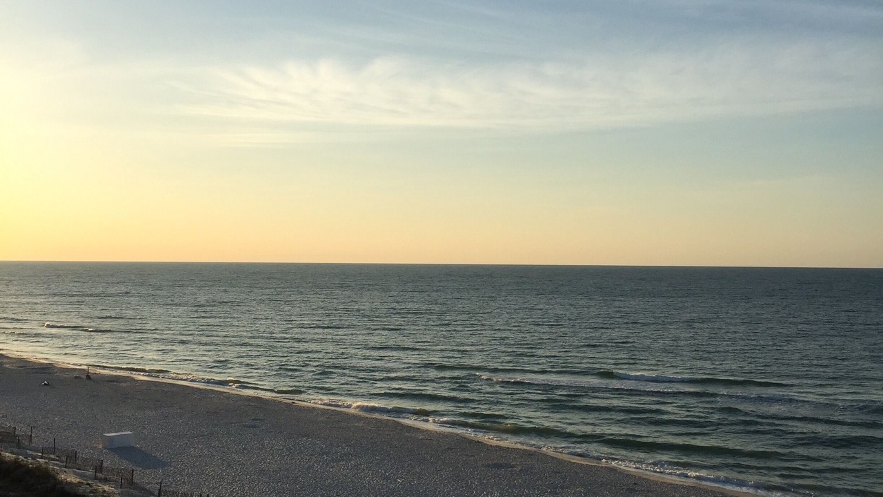 Photo of Others in Orange Beach East