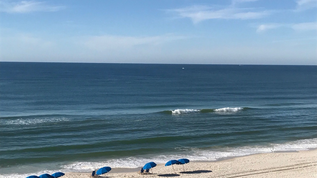 Photo of Others in Orange Beach East