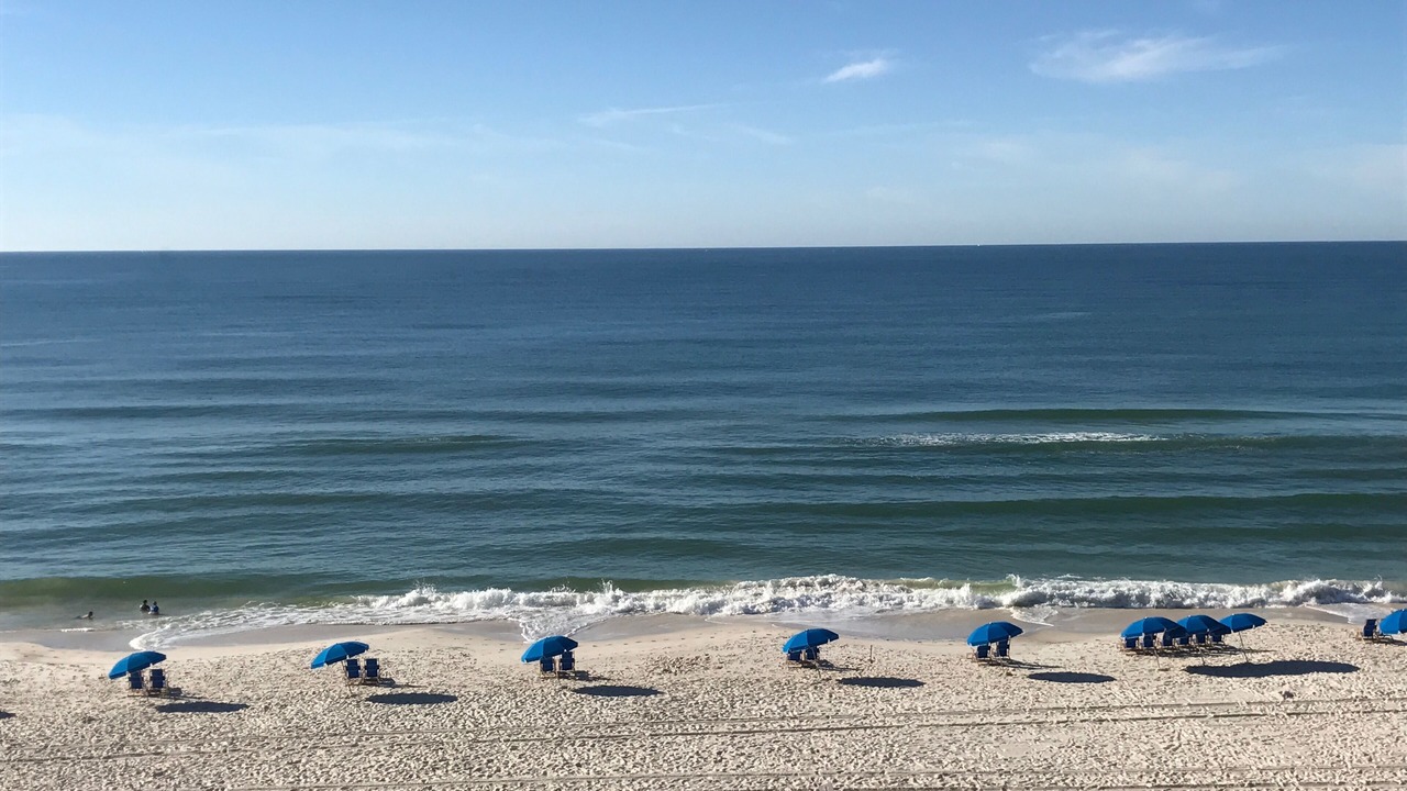 Photo of Others in Orange Beach East