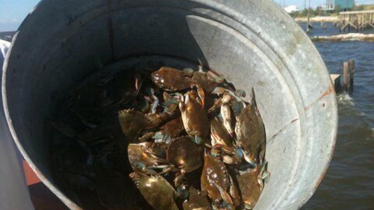 Photo of Others in Slidell