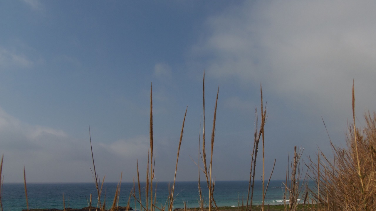 Photo of Others in Bolonia
