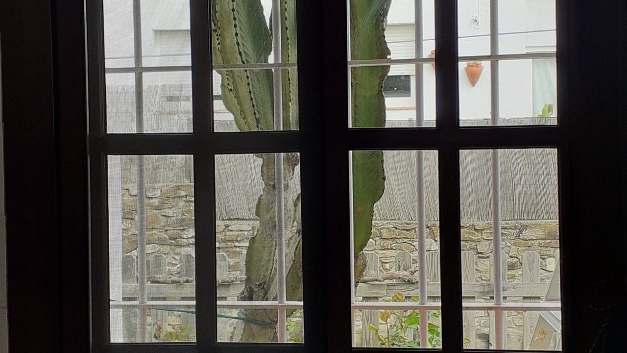 Photo of Others in Bolonia