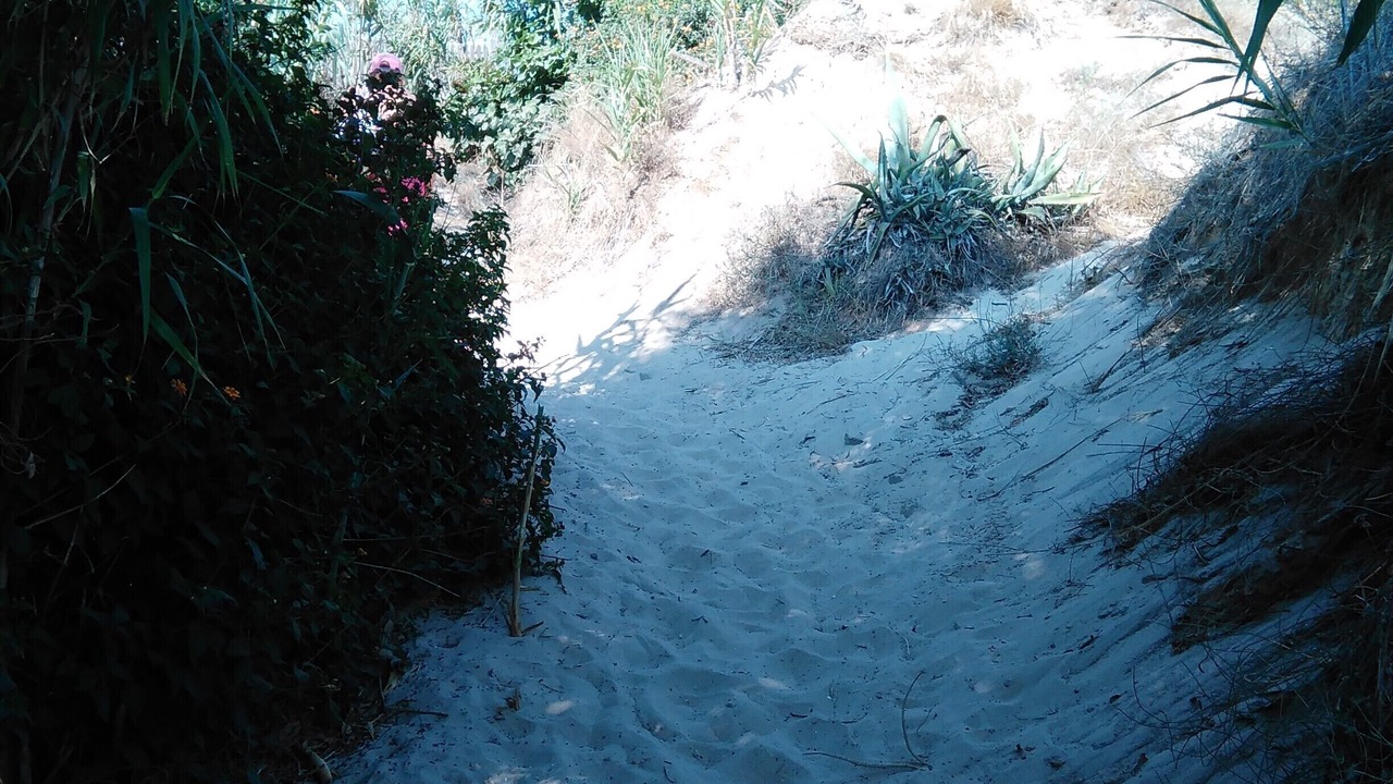 Photo of Others in Bolonia