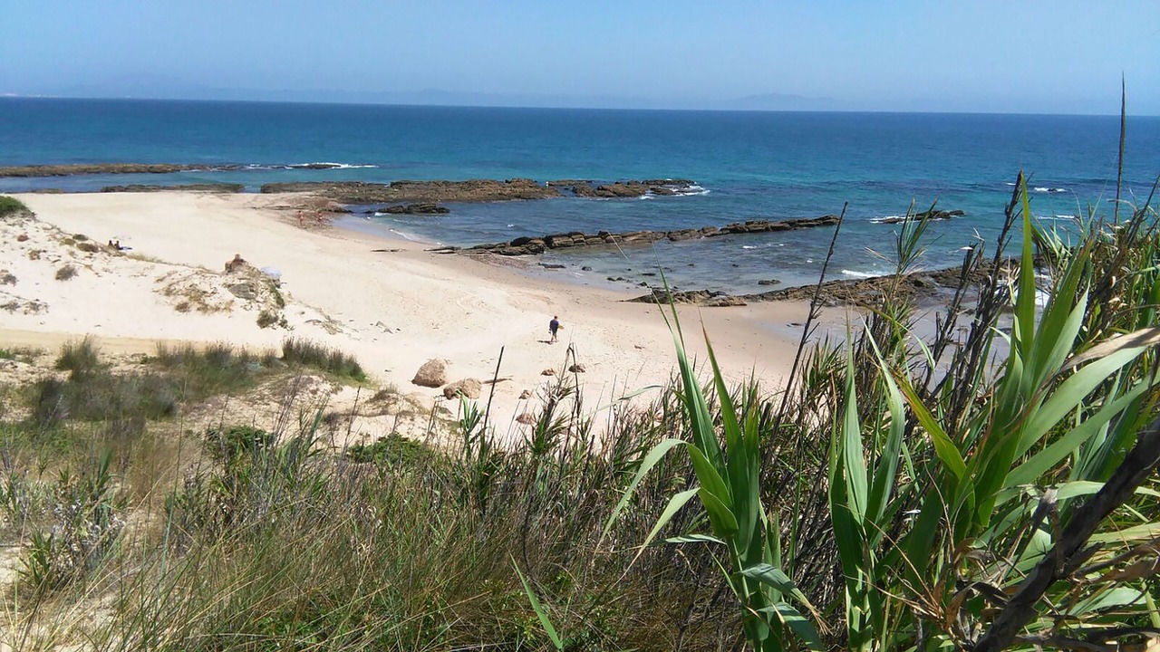 Photo of Others in Bolonia