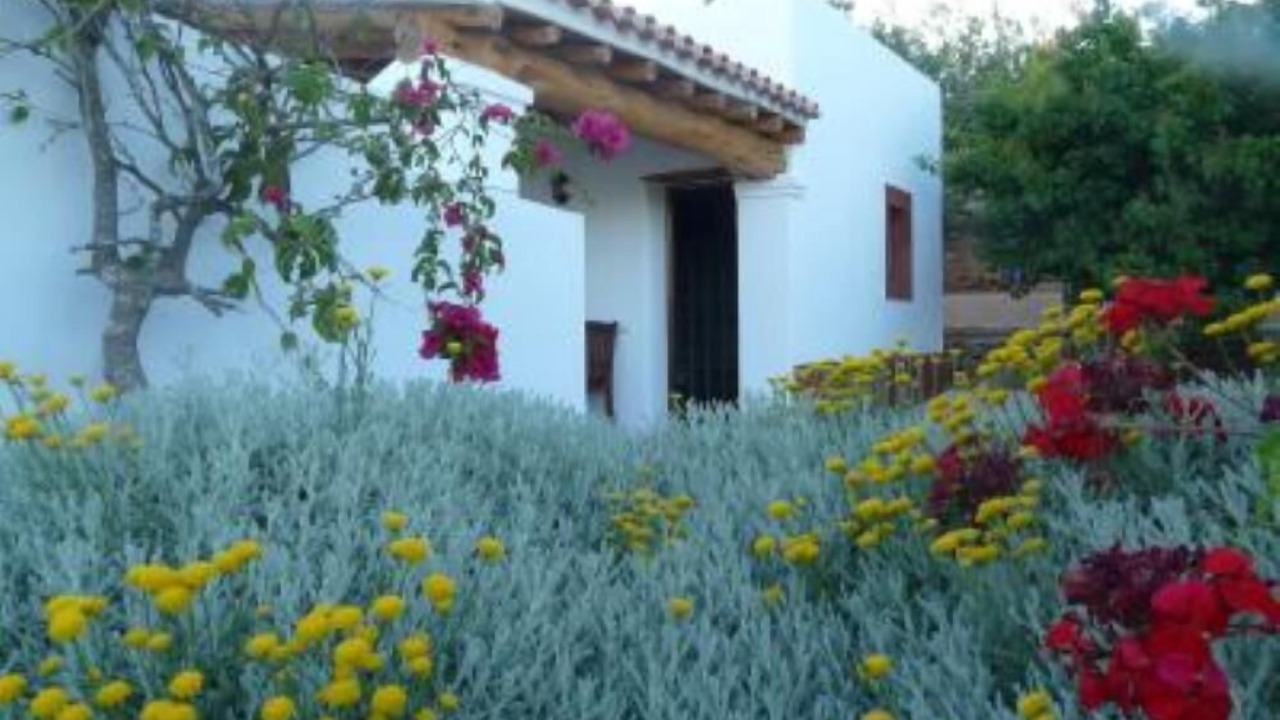 Photo of Patio Balcony in Sant Antoni de Portmany