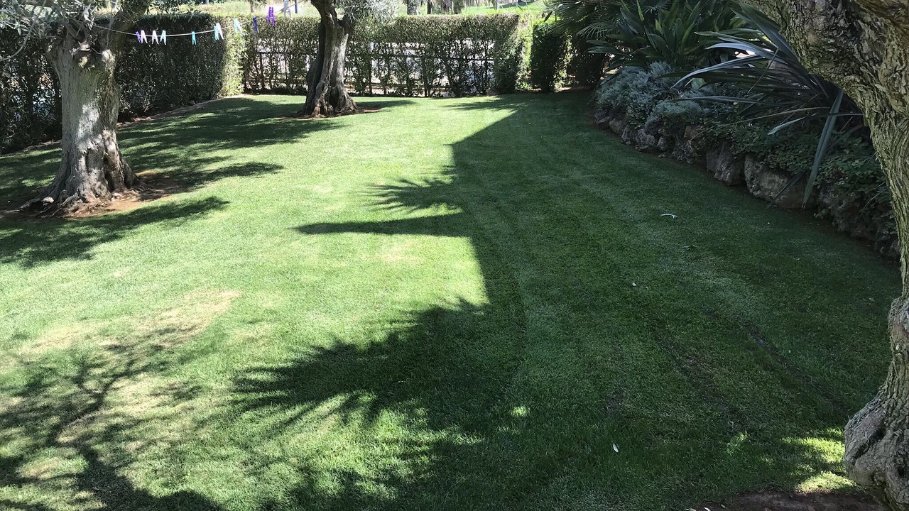 Photo of Outdoor in Atalaia